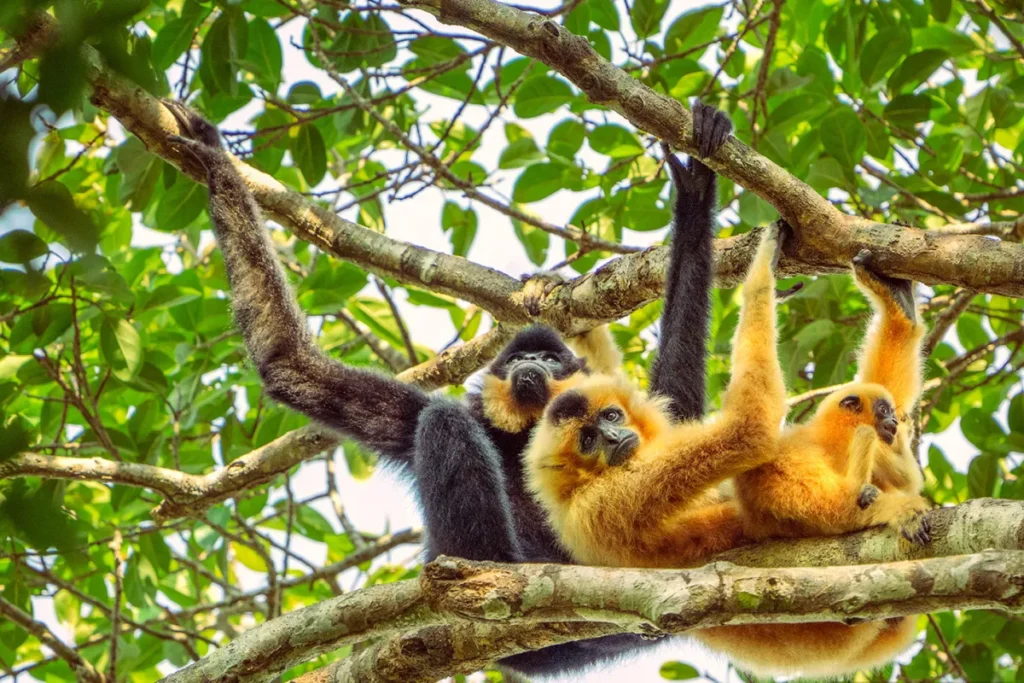 featured img cambodia nature adventure journey r1 2x