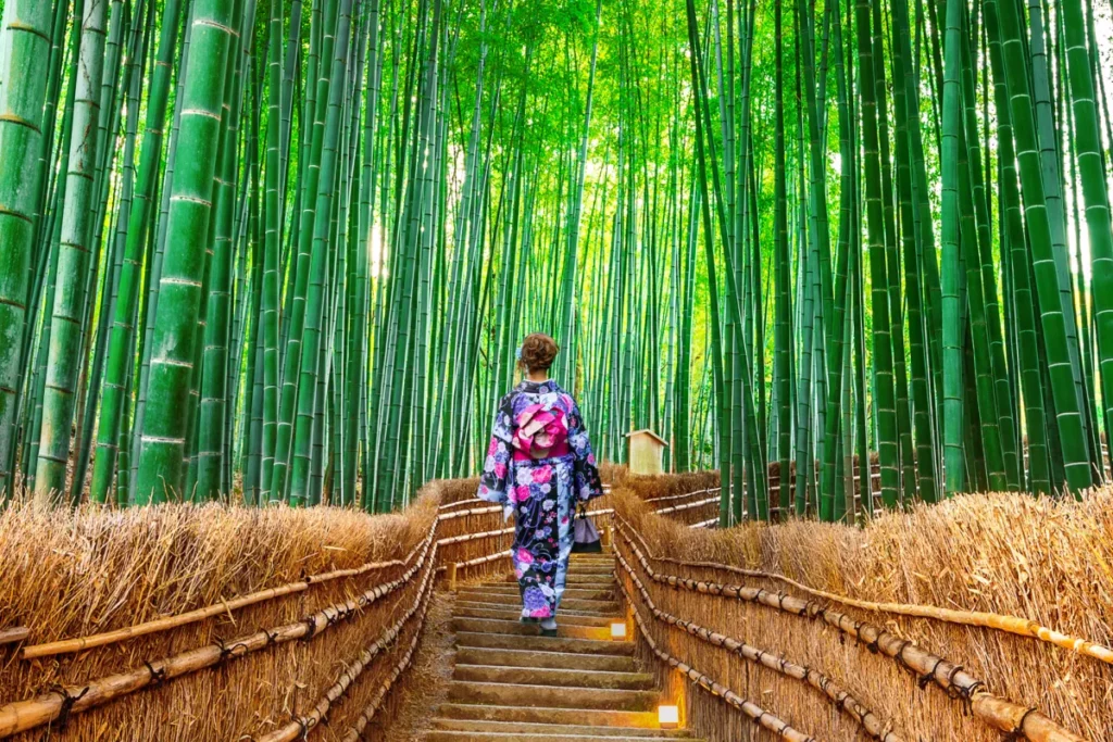 featured img cultural curiosities across japan