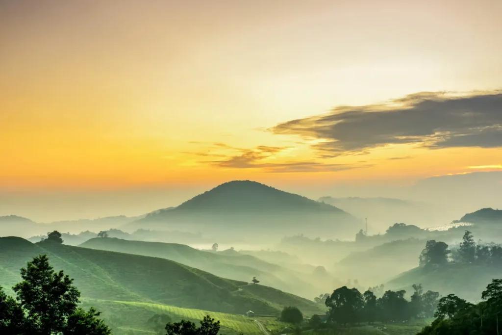 featured img mossy forest of gunung brinchang