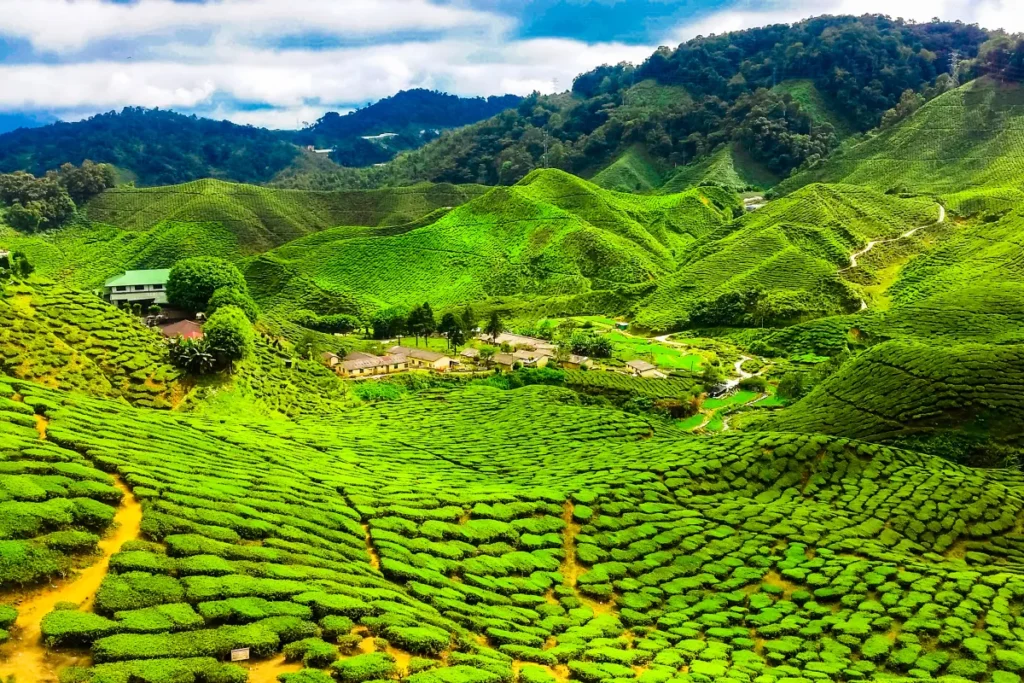 featured img traversing peninsula malaysia r1 2x