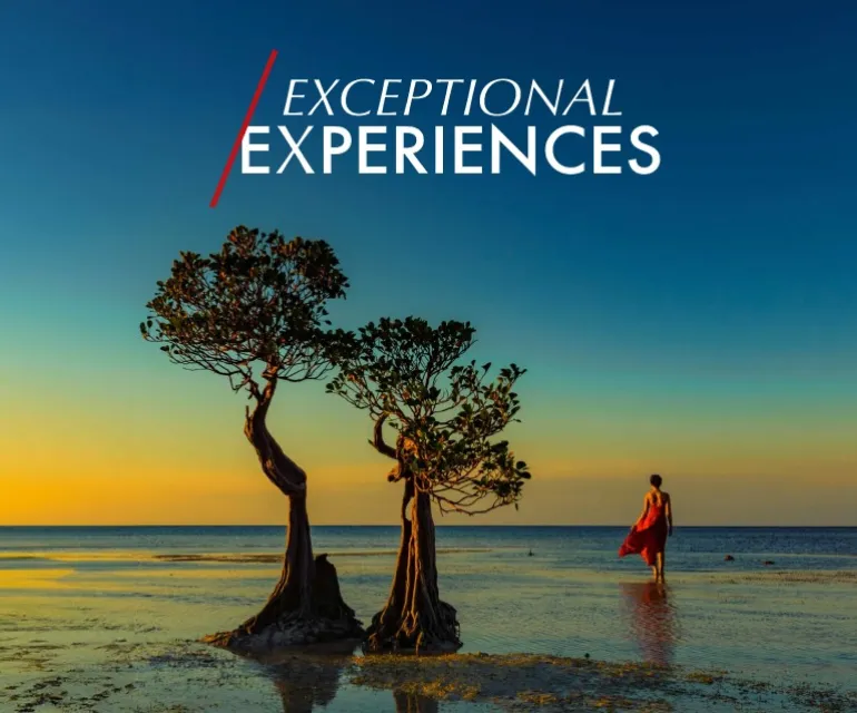 img exceptional experiences brochure r1 2x