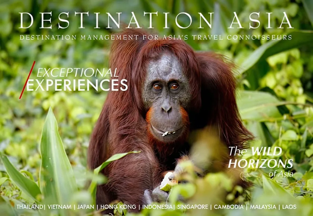 exceptional experiences issue4 2x