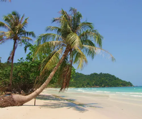 img phu quoc 2x
