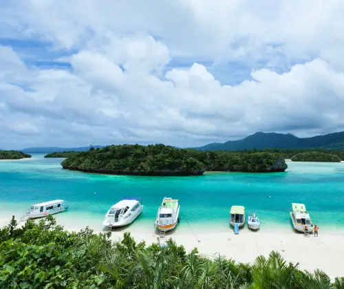 img ishigaki 2x
