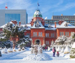 img sapporo 2x