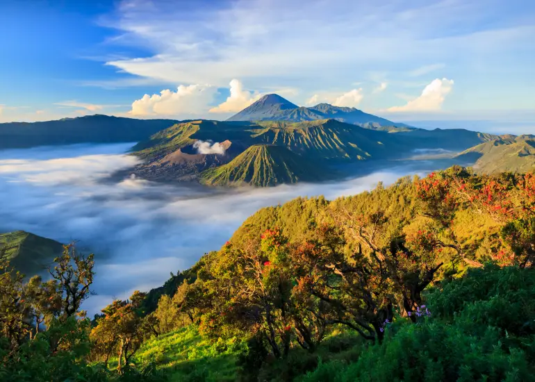 img cta destination indonesia 2x