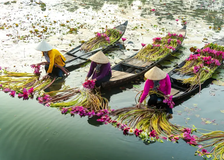 img cta destination vietnam 2x