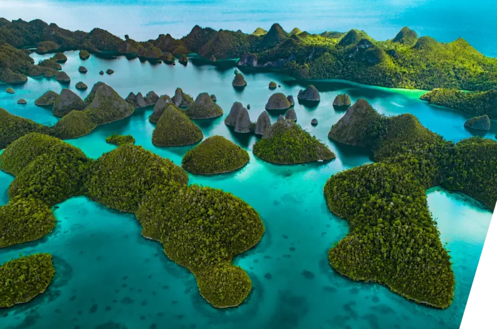 img raja ampat 2x