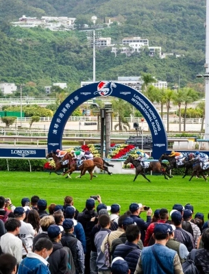 HK ASOCT 305 400